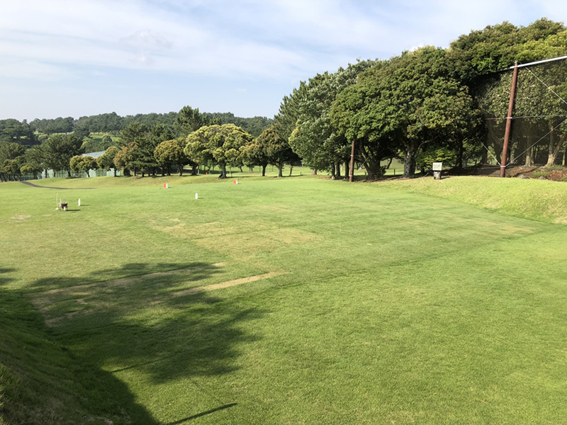 カレドニアンゴルフクラブ（千葉県）施工７日後踏圧保護用　高麗色